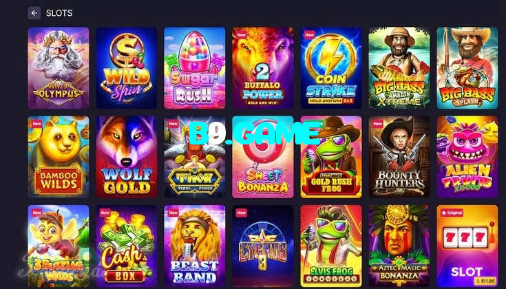 available types of B9.GAME bet including pre-match live express and system bets